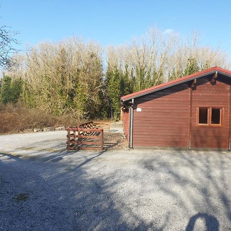 Red Squirrel Lodge Galway Luaran gambar